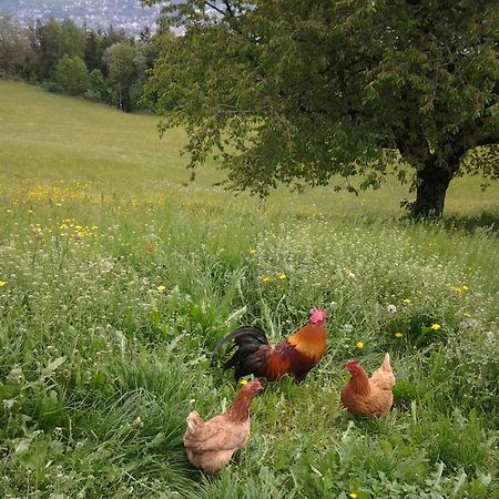 Biogasthaus Plonerhof Bressanone Esterno foto